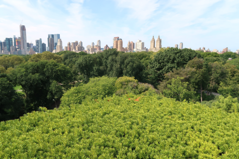 Blick auf die Upper West Side vom Rooftop Metropolitan Museum of Art New York