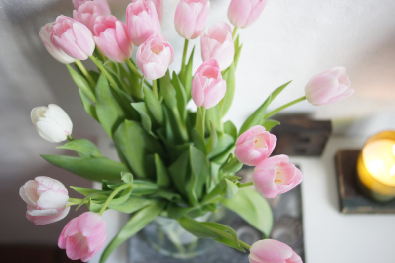 good vibes im Januar Tulpen