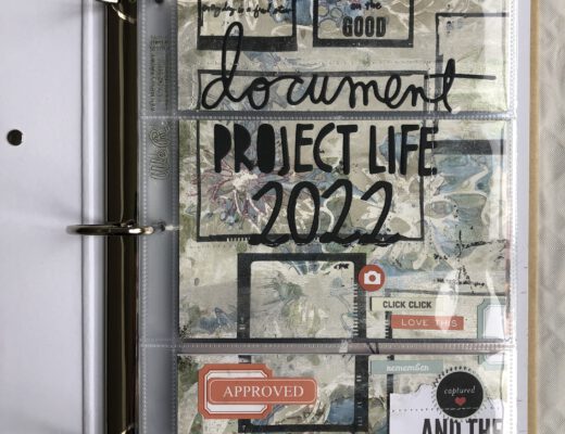 Project Life 2022 Introseite