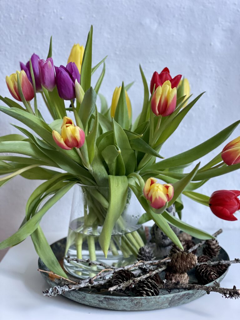 Freitagstipps Tulpen