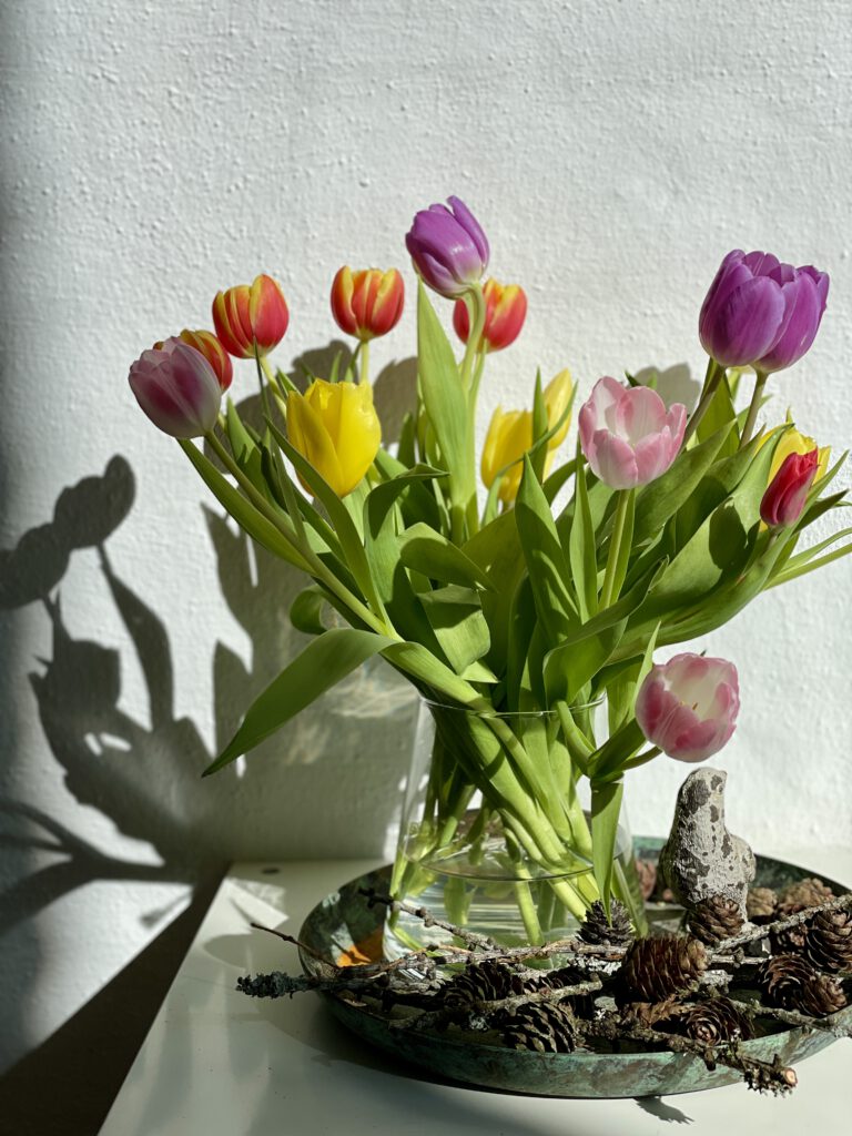 Freitagstipps Tulpen