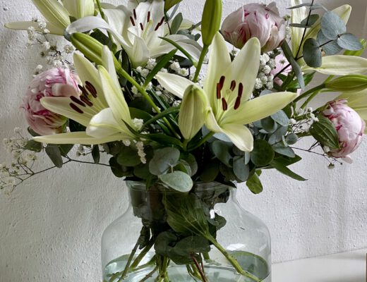 Freitagstipps Pfingsrosen