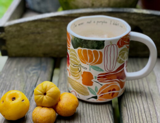 Freitagstipps Herbst