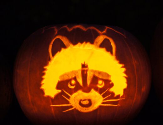 Freitagstipps Halloween Kürbis