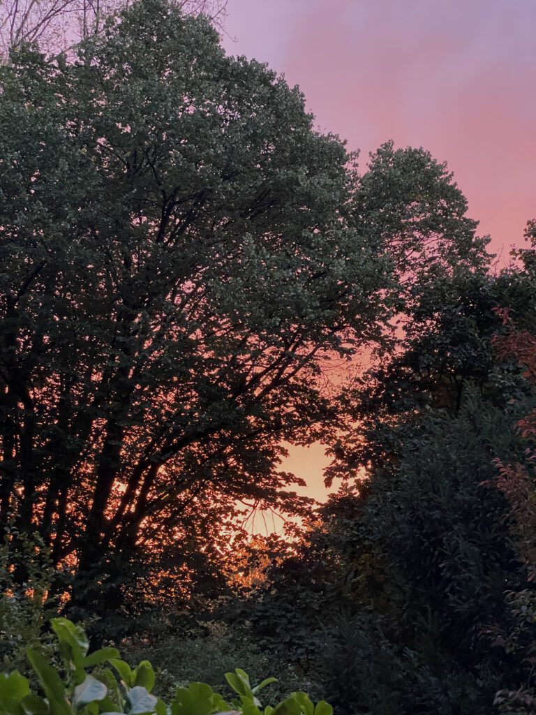 Freitagstipps Sonnenaufgang