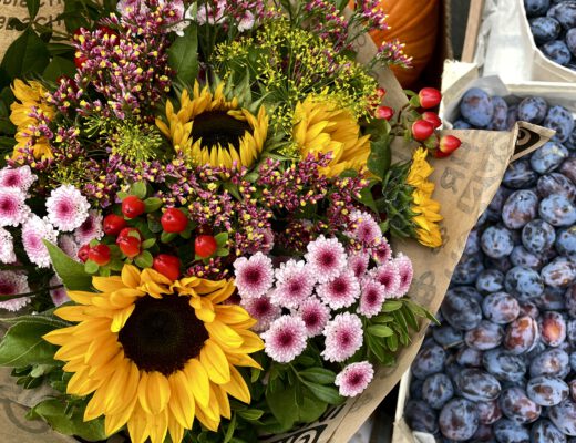 Freitagstipps Herbstblumen