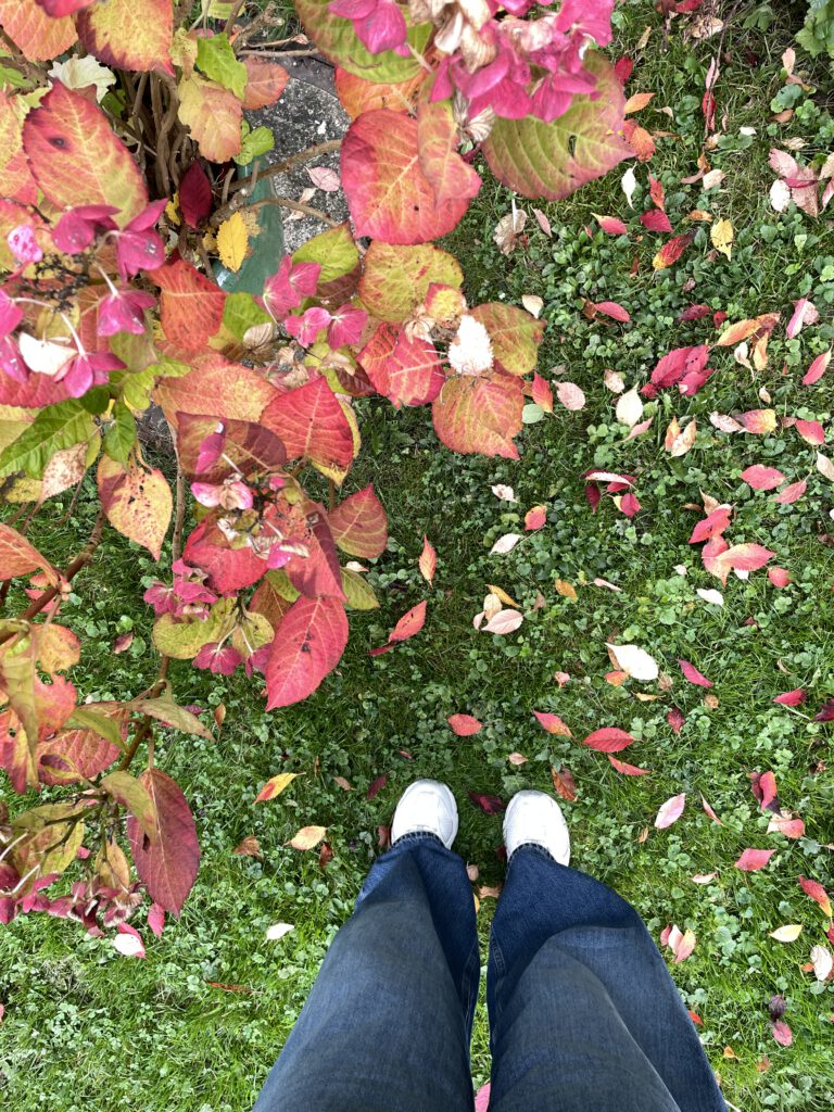 Freitagstipps Herbstblätter