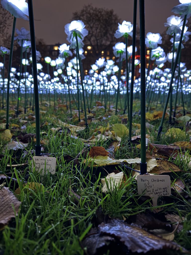 London Ever After Garden November