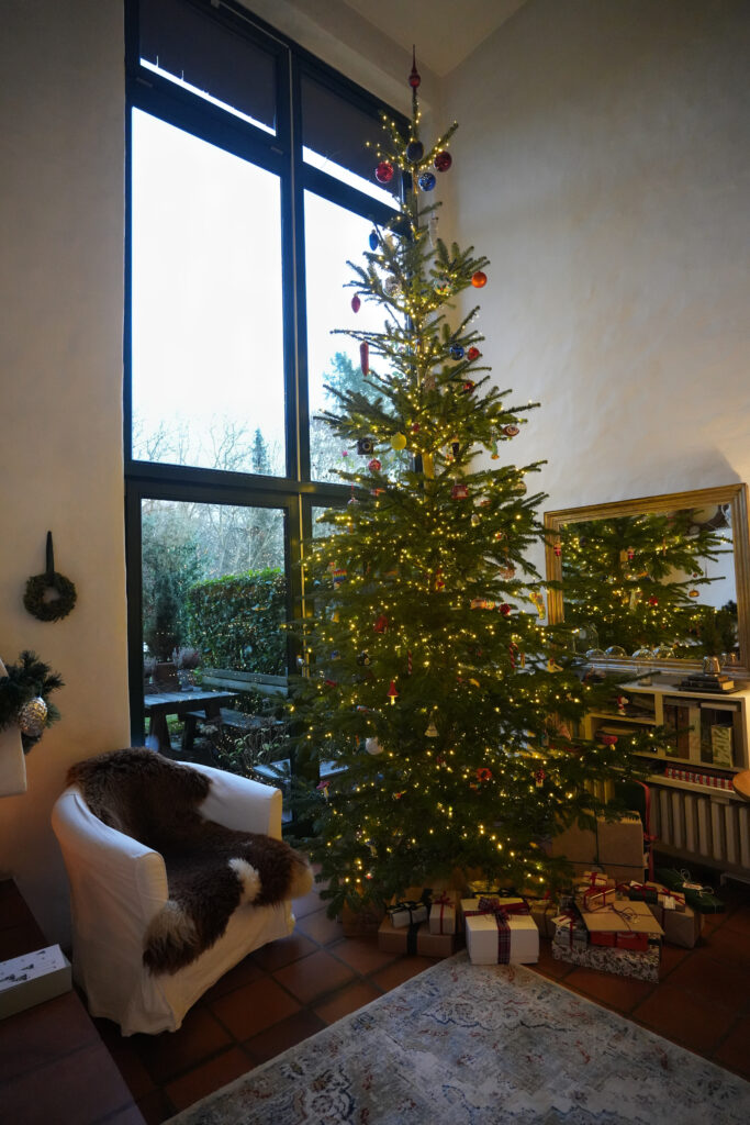 Freitagstipps Weihnachten