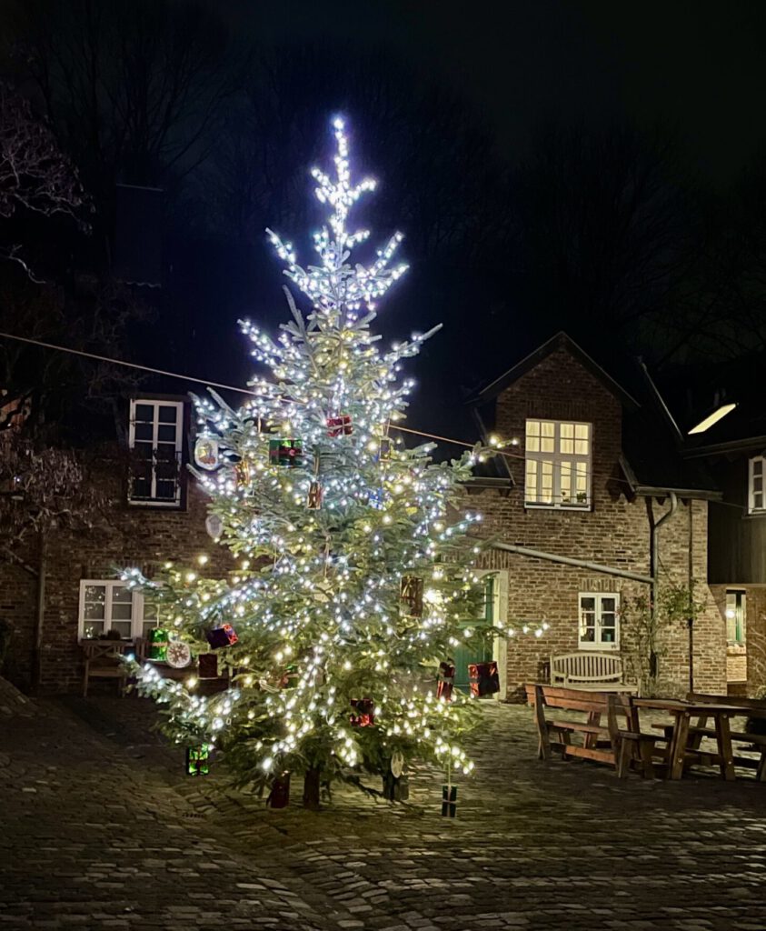 Freitagstipps Weihnachtsbaum