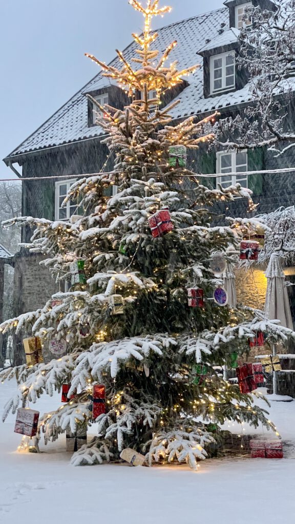 Freitagstipps Weihnachtsbaum im Schnee