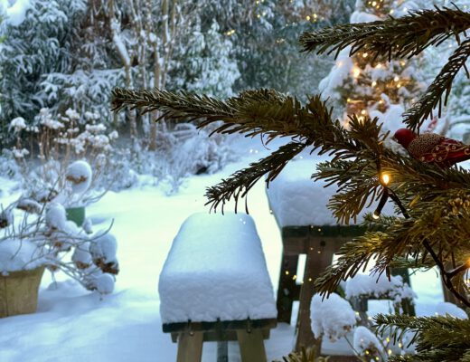 Freitagstipps Schnee