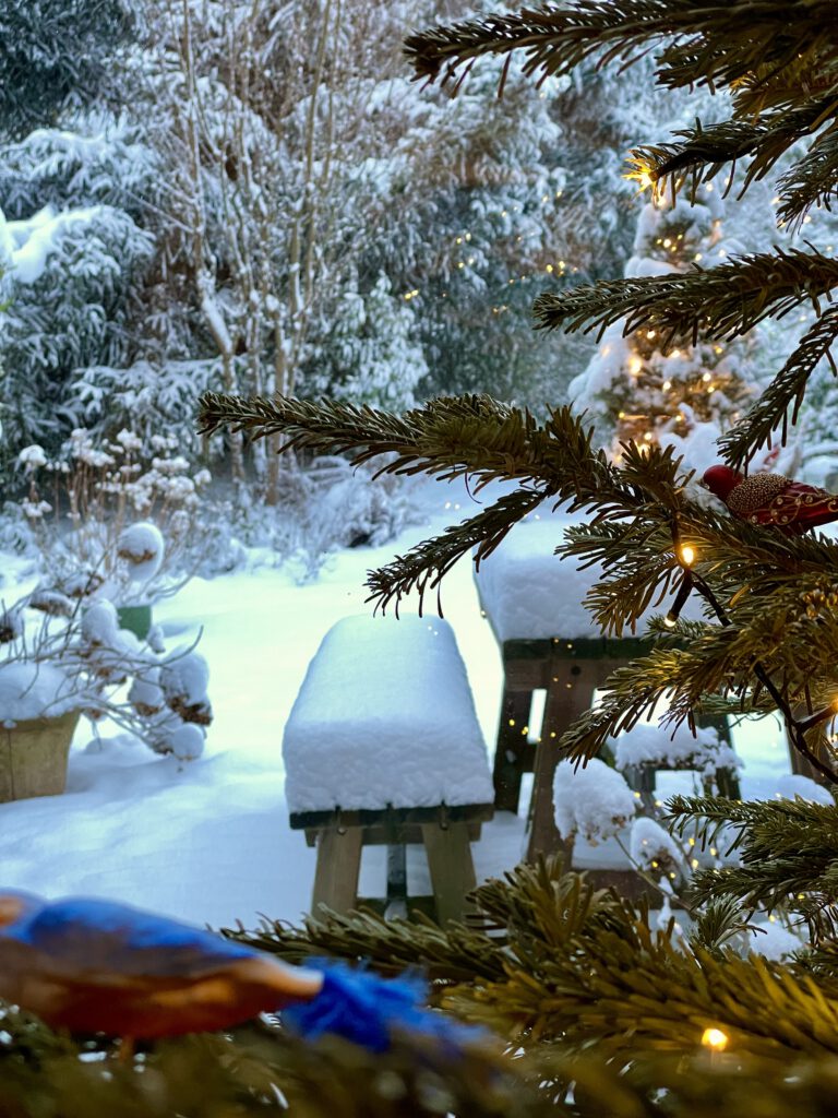 Freitagstipps Schnee