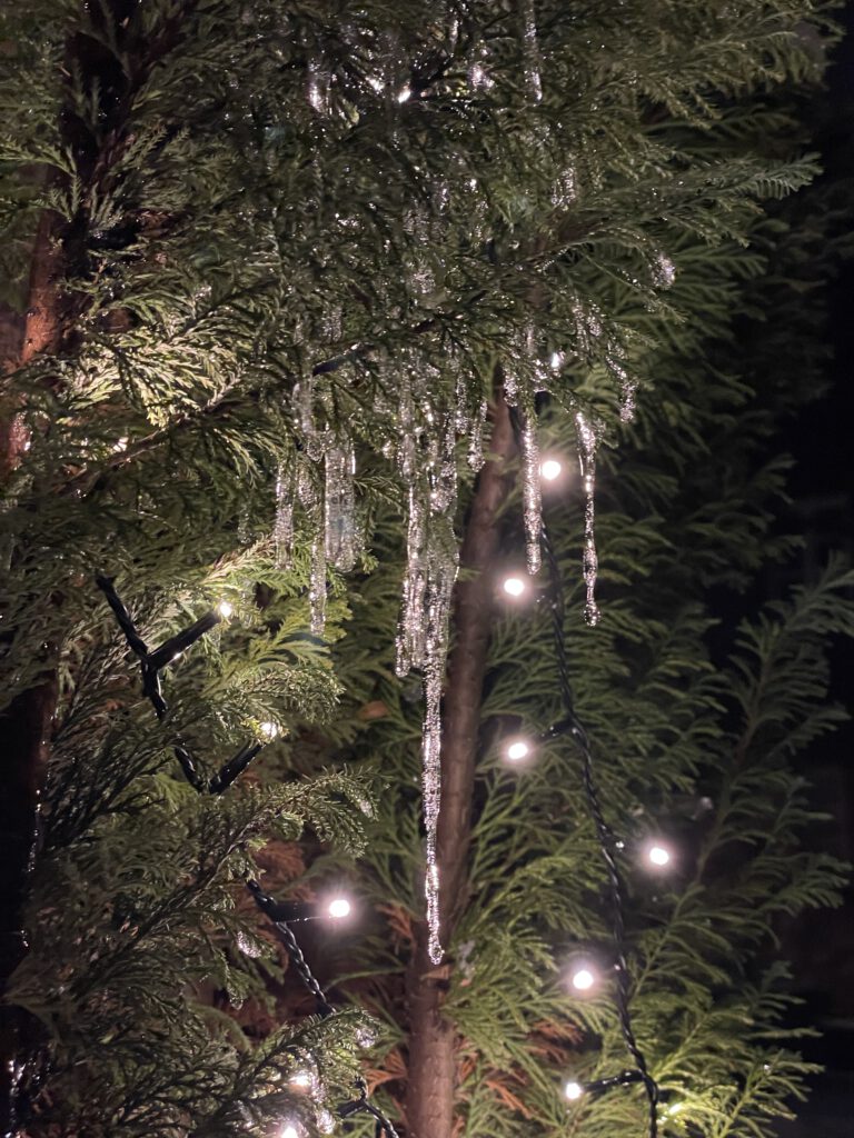 Freitagstipps Eiszapfen