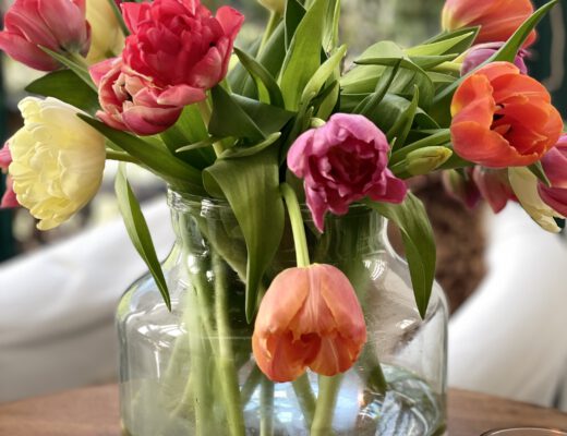 Freitagstipps Tulpen