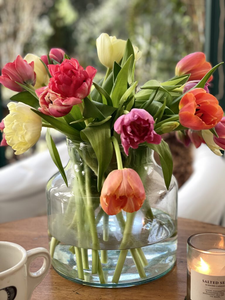 Freitagstipps Tulpen