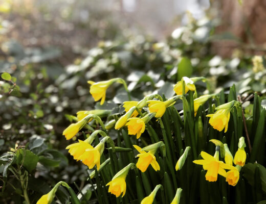 Freitagstipps Februa