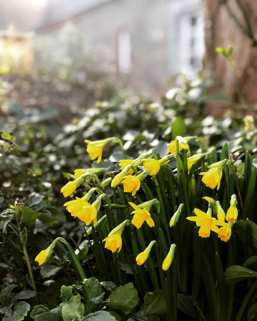 Freitagstipps Februa