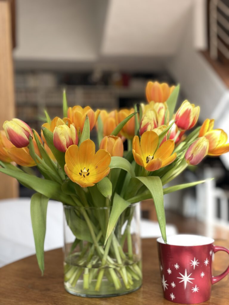 Freitagstipps März Tulpen