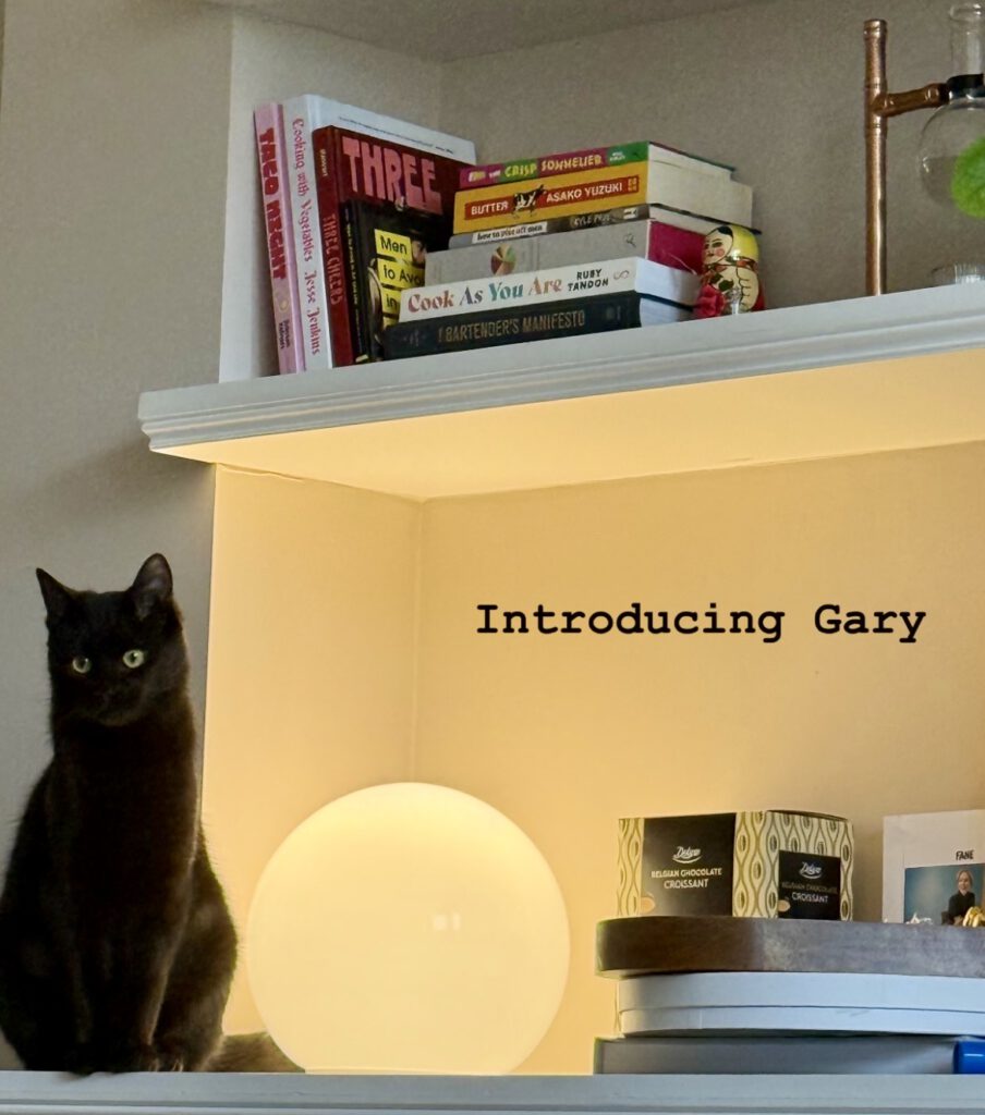 Freitagstipps Kater Gary