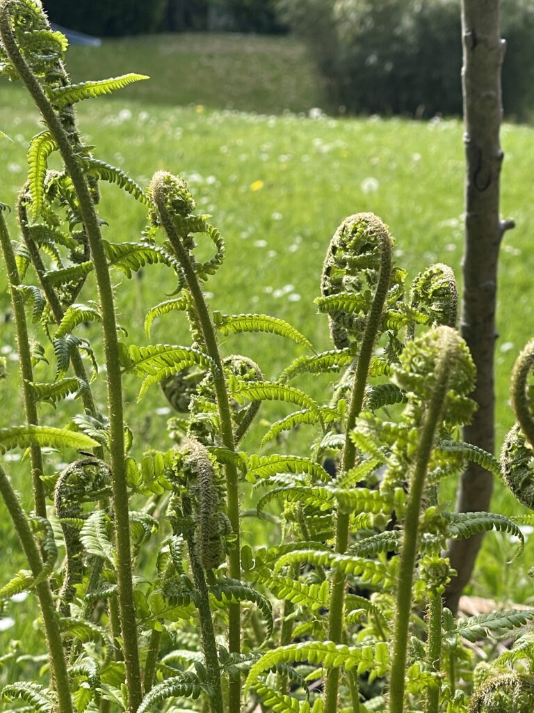 Freitagstipps erster Mai