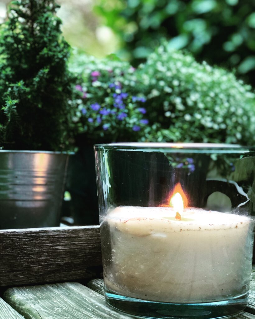 Freitagstipps Sommer