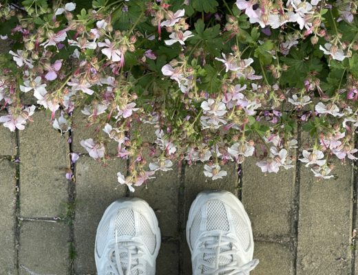 Freitagstipps Juni