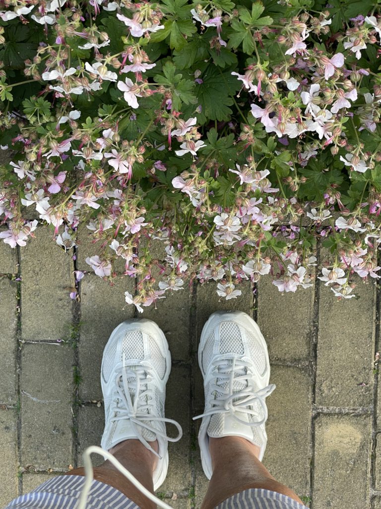 Freitagstipps Juni