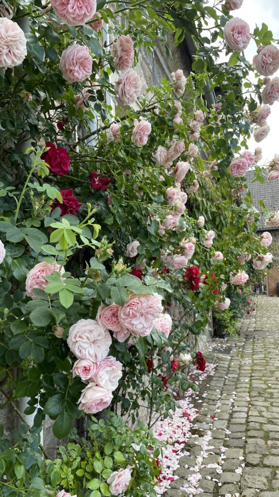 Freitagstipps Schloss Lembeck
