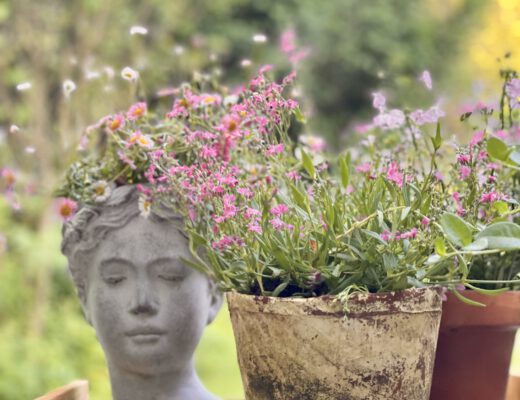 Freitagstipps Juni Blumen