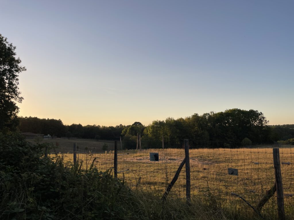 Freitagstipps Sonnenfinsternis