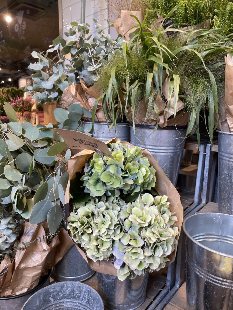 Freitagstipps Herbstblumen