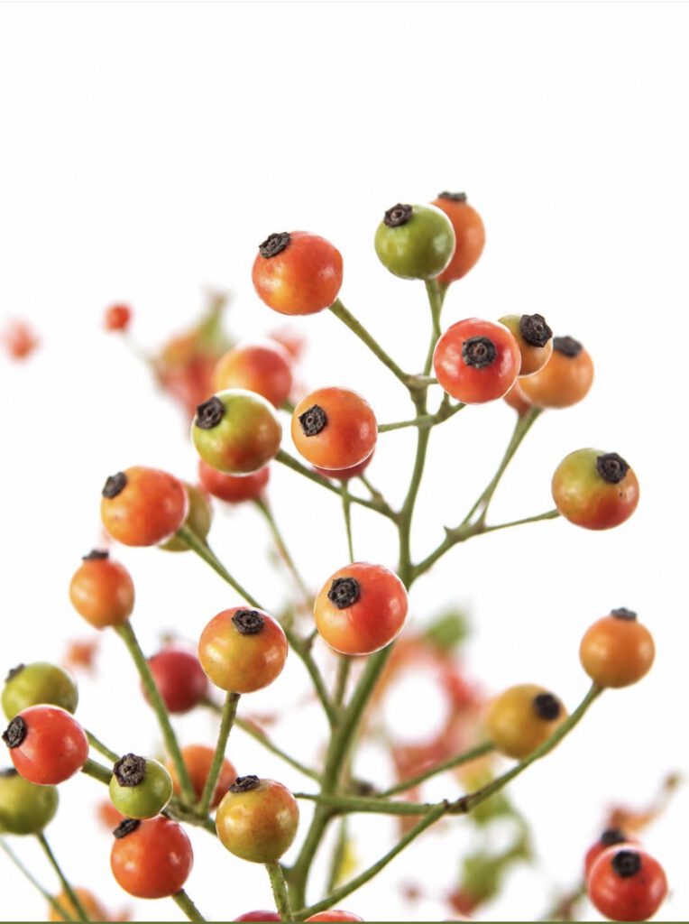 Freitagstipps Herbst