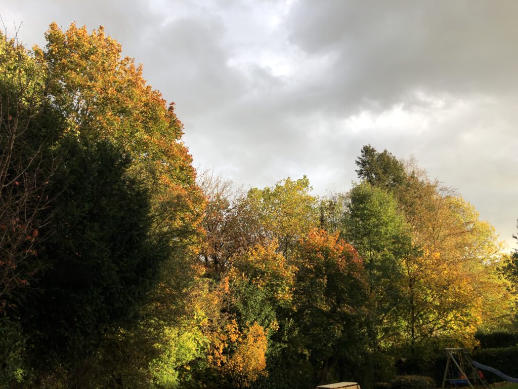 Freitagstipps Oktober